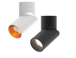 Lanark CANT Adjustable Surface Mounted Downlight
