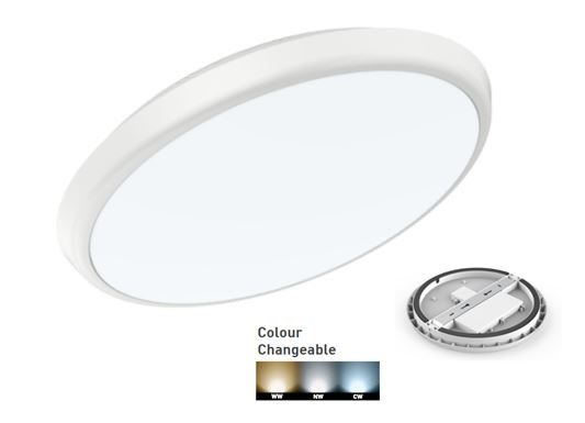 Double insulated oyster light cheap